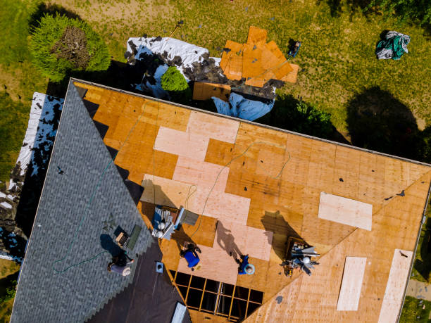 Best Metal Roofing Contractor  in Sterlington, LA